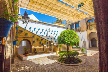Typical whitewashed houses along the streets of the city of Cord © james633