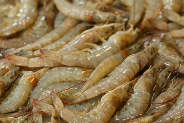 Fresh Banana shrimp in seafood market , Thailand