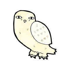 cartoon owl