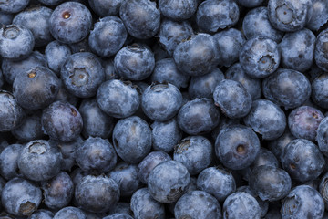 Blaubeeren