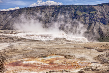 Canary Springs At Mammoth Hot Springs