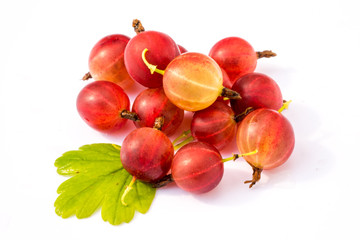 red ripe gooseberry with leaf isolated on white background