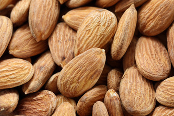 close-up almond seed background, pattern, textur
