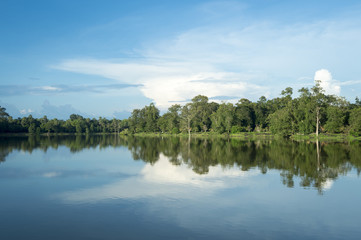 Scenic view of lake with lush tropical greenery reflecting under bright Asian sky in the moat at Angkor Wat, Cambodia