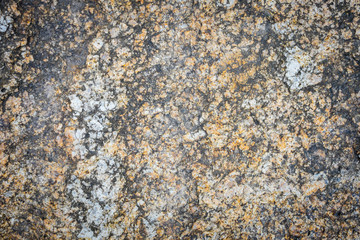 Detailed stone texture as background