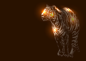 Vector illustration of a tiger on a dark background