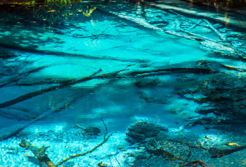 The Blue pool in the forest