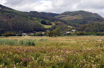 Fototapeta na wymiar Llanelltyd near Dolgellau in Snowdonia.
