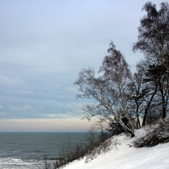 Winter seascape
