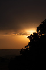 Sunset and tree