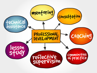 Professional development mind map business concept
