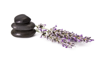 Obraz na płótnie Canvas lavender and stones isolated