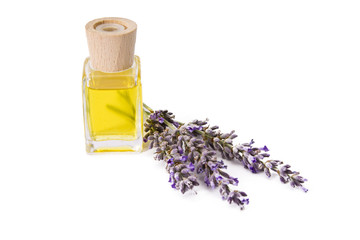 lavender and oil isolated