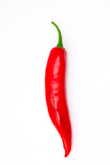 chili pepper isolated on white background