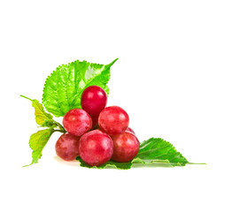 red grapes isolated on white background