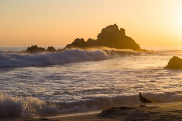 Sunset at the beach at Pfeiffer State Park, Big Sur, California - 87394890