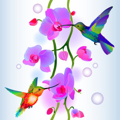 Seamless background with orchids and humming-birds