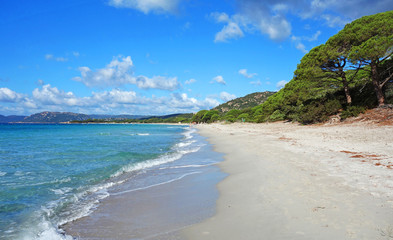 Plage de Palombaggia