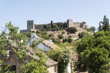 Fototapeta premium Castellar de la Frontera Castle, Andalusia, Spain