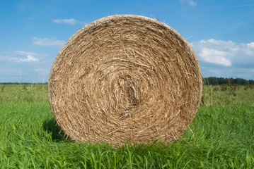 Nahaufnahme Heuballen und blauer Himmel