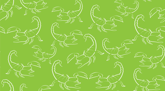 Vector seamless background of contours Scorpions on a green background. Pattern of randomly distributed Scorpions.