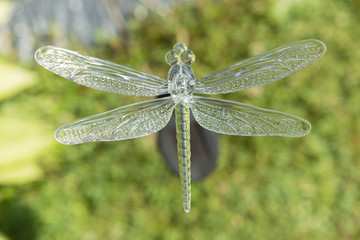 transparent plastic dragonfly