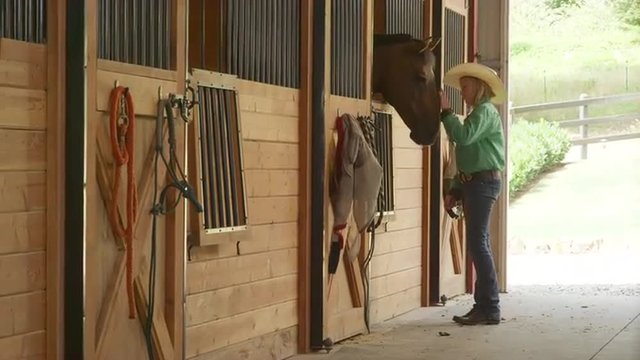 Young girl feeding horses in a stable