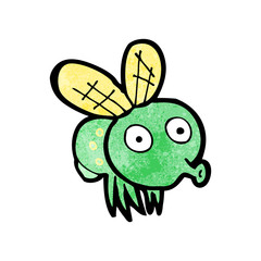 cartoon fly