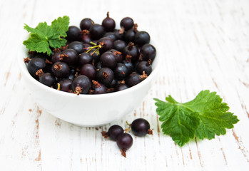 black currant