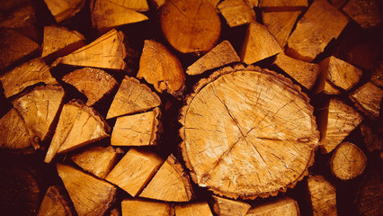 Background of old logs