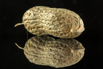Peanuts shell on top of a black reflective surface close up