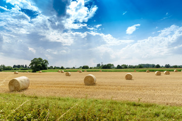 Strohballen