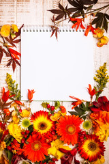  Autumnal flowers and berries