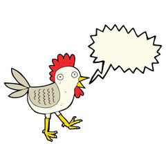 funny cartoon chicken with speech bubble