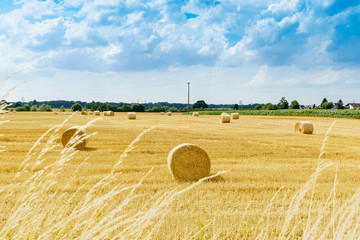 Strohballen auf dem Feld