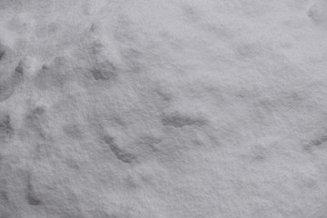 Neige