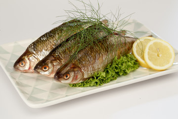 rotauge