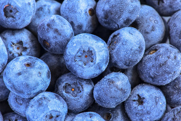 Swamp blueberry with water drops close up