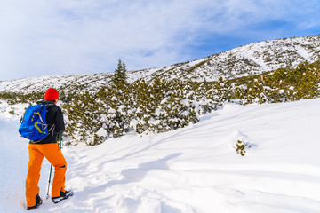 Fototapeta premium Young woman backpacker tourist on hiking trail in winter landscape of Gasienicowa valley, Tatra Mountains, Poland