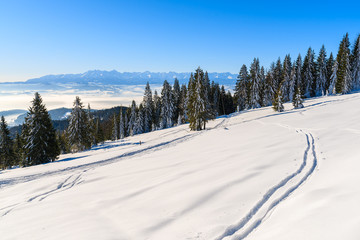 Ski track in Gorce Mountains with panorama of Tatra Mountains in distance, Poland