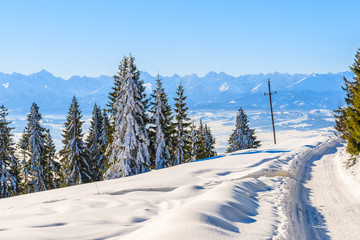 Winter trail in Gorce Mountains and panorama of Tatra Mountains in background, Poland