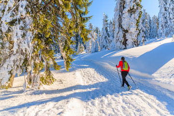 Unidentified young woman with backpack running in Gorce Mountains in winter season, Poland