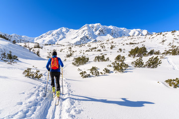 Unidentified ski tourer on winter trail in Rohace valley, Tatra Mountains, Slovakia