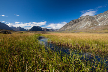 Mountain valley with glaciers