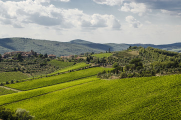 Fototapeta na wymiar vineyards in Tuscany, Italy