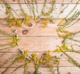 Alternative medicine concept - herbs on wooden background