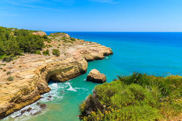 Sea bay with tropical plants on coast of Portugal near Carvoeiro town, Algarve region