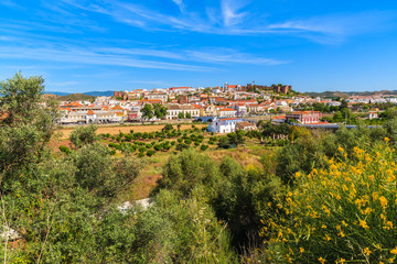 Fototapeta na wymiar Spring yellow flowers with view of Silves town built on green hill, Algarve region, Portugal