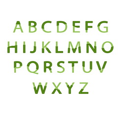 Illustration eco alphabet. Vector