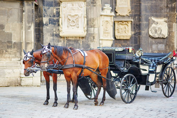 Fototapeta na wymiar Horse-driven carriage in Vienna, Austria